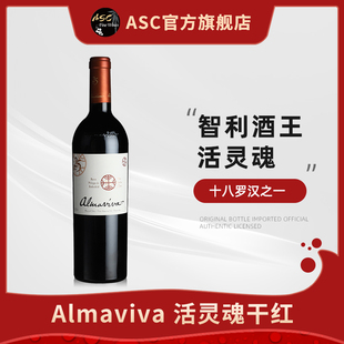 ASC智利红酒进口活灵魂酒庄2019年中央山谷赤霞珠干红葡萄酒750ml