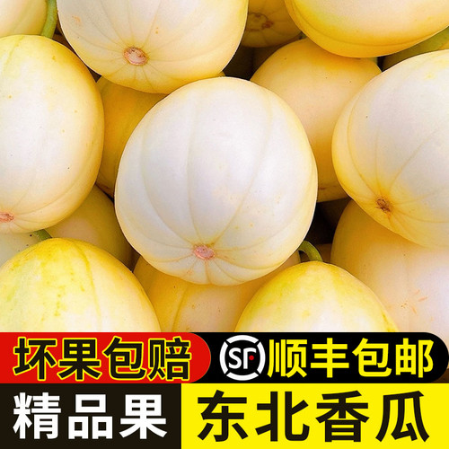 东北香瓜果园直发脆甜多汁