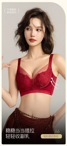 名韩内衣秋冬新款中厚B杯上托防下垂定型收副乳调整型文胸罩1192
