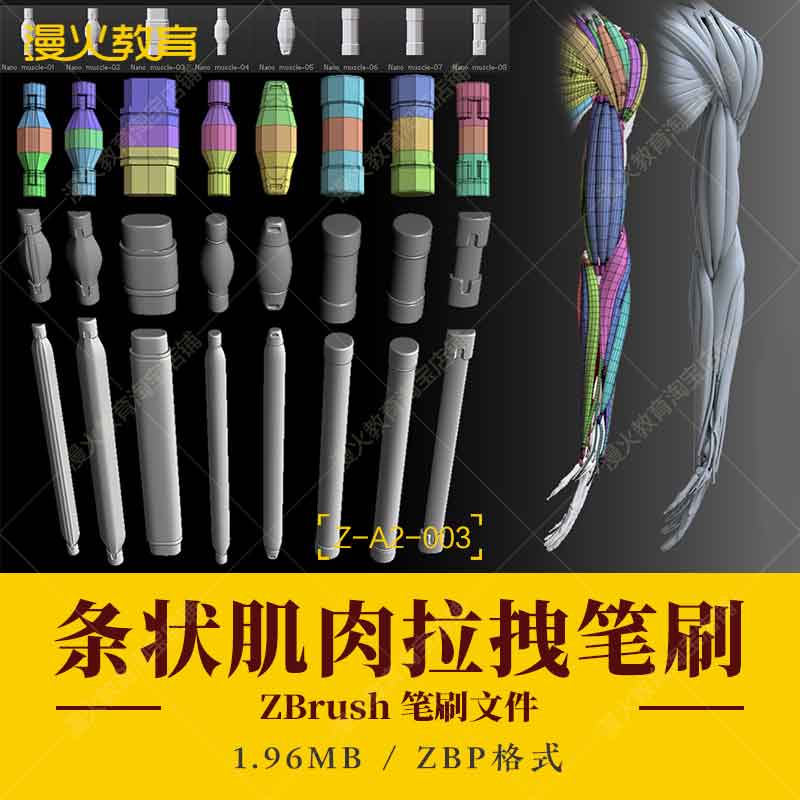 ZBrush笔刷肌肉笔刷zb骨骼肌肉游戏动画影视手办3D打印建模型笔刷