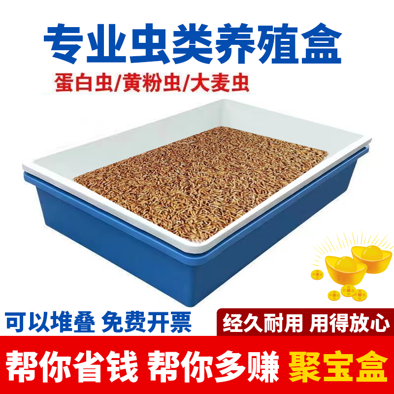 周转盘黄粉虫养殖箱塑料盆
