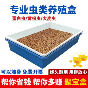 蛋白虫黄粉虫专用养殖工具长方形塑料盆浅盘物料盒子养殖箱周转盘