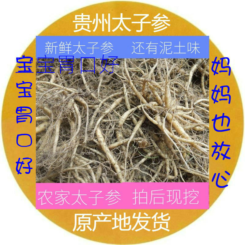 贵州特产施秉太子参野生新鲜太子参孩儿参煲汤滋补药食两用中草药