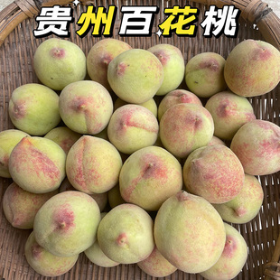 新鲜桃子孕妇水果贵州农家自种自然熟桃子当季5斤五月桃毛桃雪桃