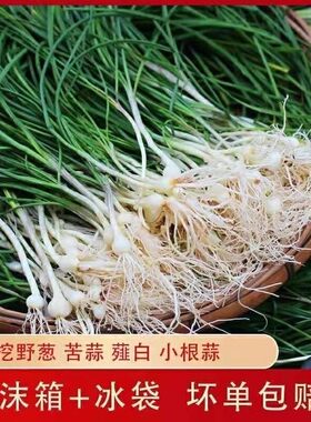 新鲜野葱野葱野菜贵州农家自采葱头苦蒜小葱当季蔬菜仡蓁精品果蔬