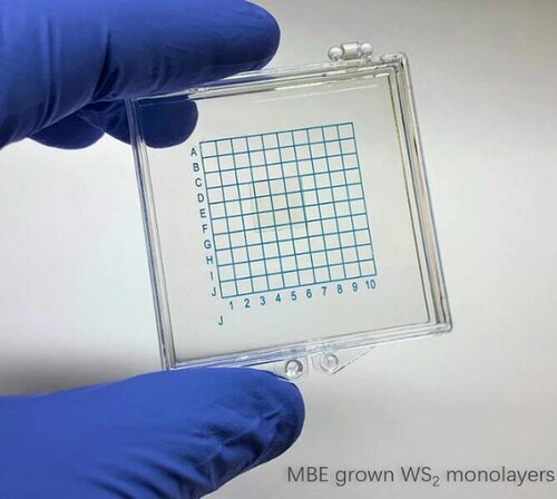 分子束外延沉积MBE-WS2三角形单晶