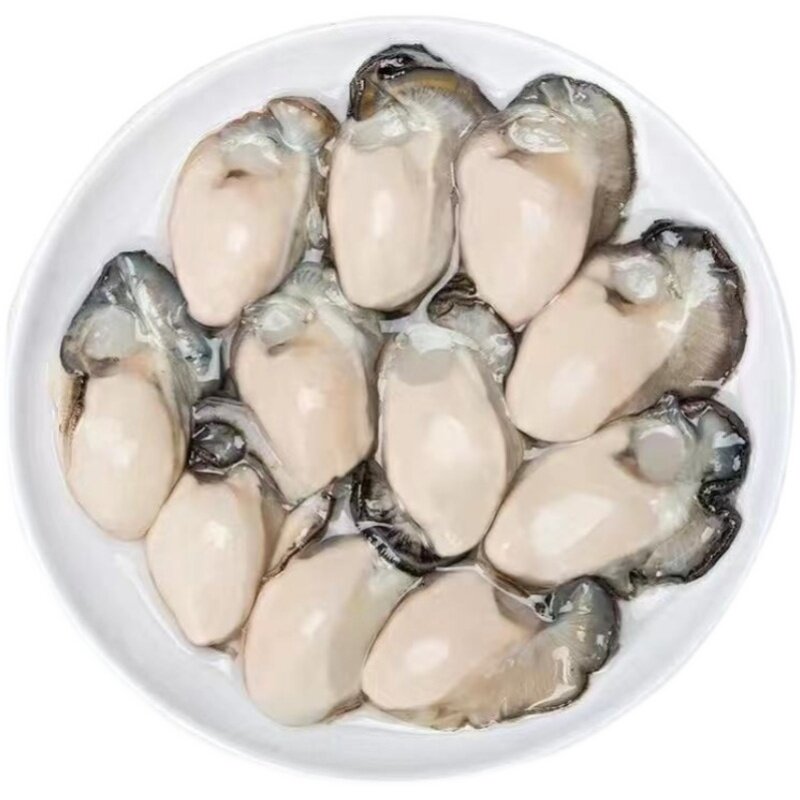 新鲜生蚝肉鲜活现剥海蛎子火锅海鲜3斤去壳牡蛎肉非乳山顺丰包邮