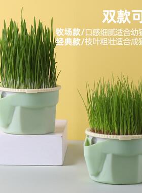Cat Grass Cup Cat Snacks Cat Grass Reusable grass potted