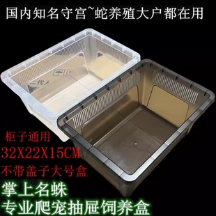 爬宠高透角蛙R属豹纹睫角爬虫饲养箱巨人守宫蜘蛛角蛙饲养盒