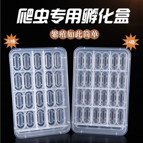 爬宠种龟蛋孵化器无菌蛭石守宫蛇蛋蜥蜴孵化盒保湿透气乌龟孵化箱