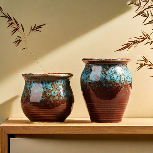 孔雀小多肉花盆陶瓷家用创意绿植粗陶陶盆控根陶土盆清仓特价花盘