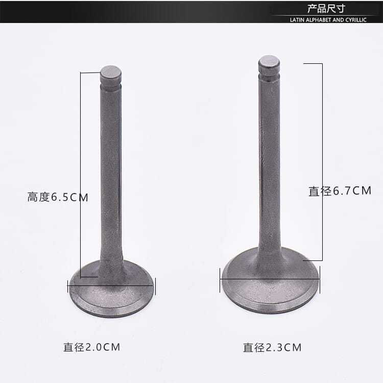 摩托车配件 48 JH70 90 JD100 110 DY100弯梁车 骑士车 进排气门