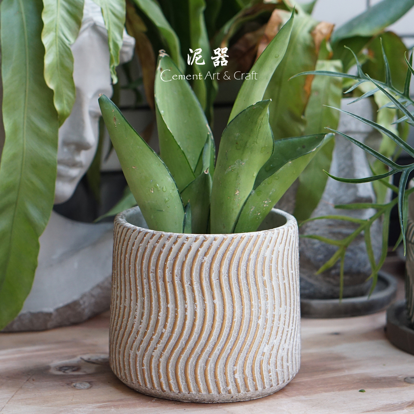 泥器浮雕金色条纹做旧仿古圆形水泥花盆北欧绿植多肉花盆阳台桌面