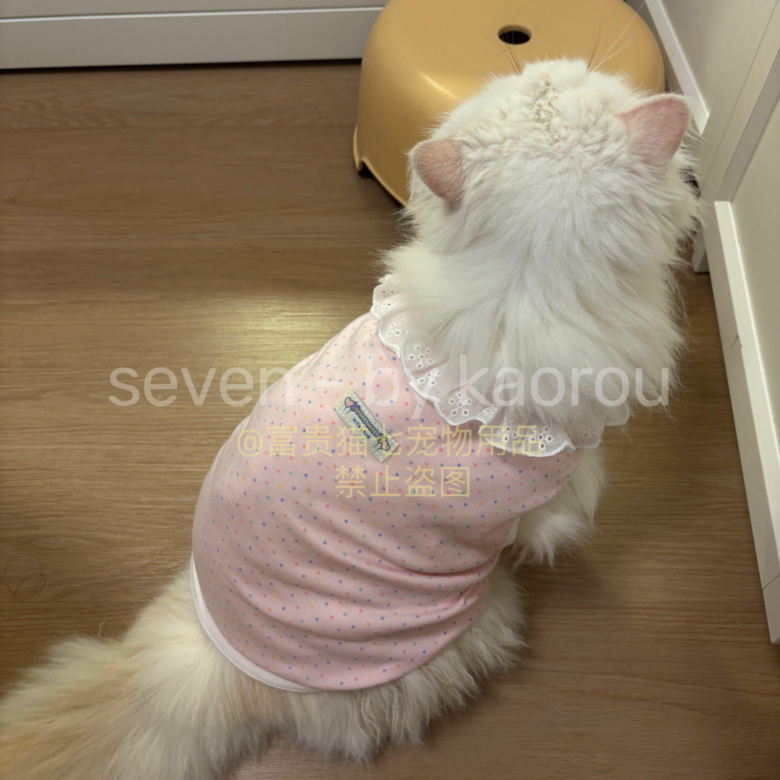 夏季猫咪衣服防掉毛薄款纯棉背心蕾丝边博美马尔济斯狗狗衣服