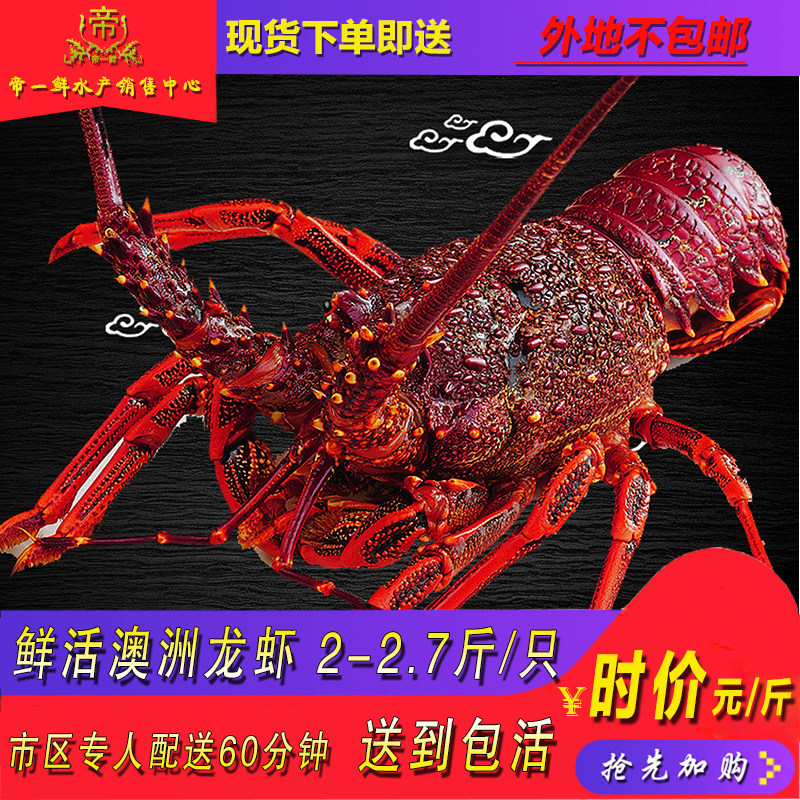 天津 澳洲 红大龙虾鲜活 进口 超大小冷冻同城海鲜新品包邮