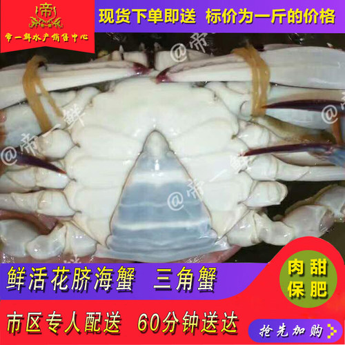 三角蟹花脐蟹新鲜肉肥白膏儿