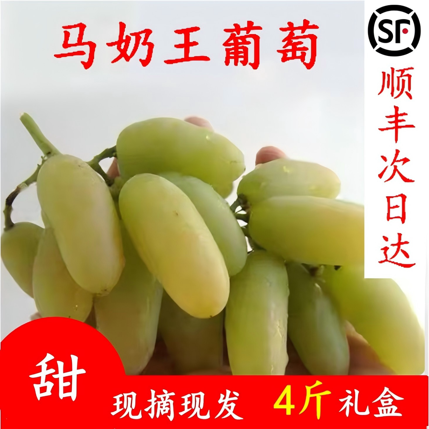 马奶王葡萄现摘现发顺丰礼盒装