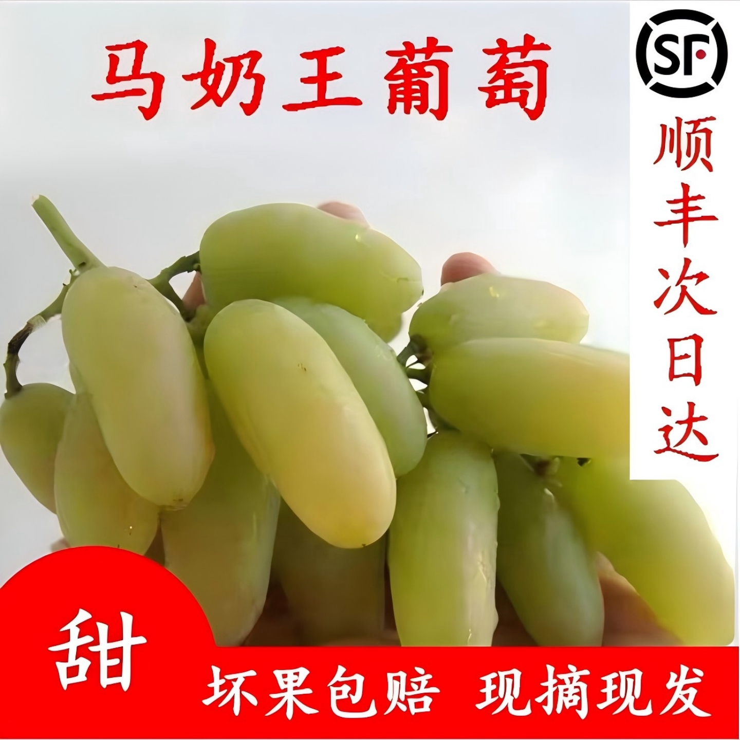 马奶王葡萄脆甜多汁顺丰礼盒装