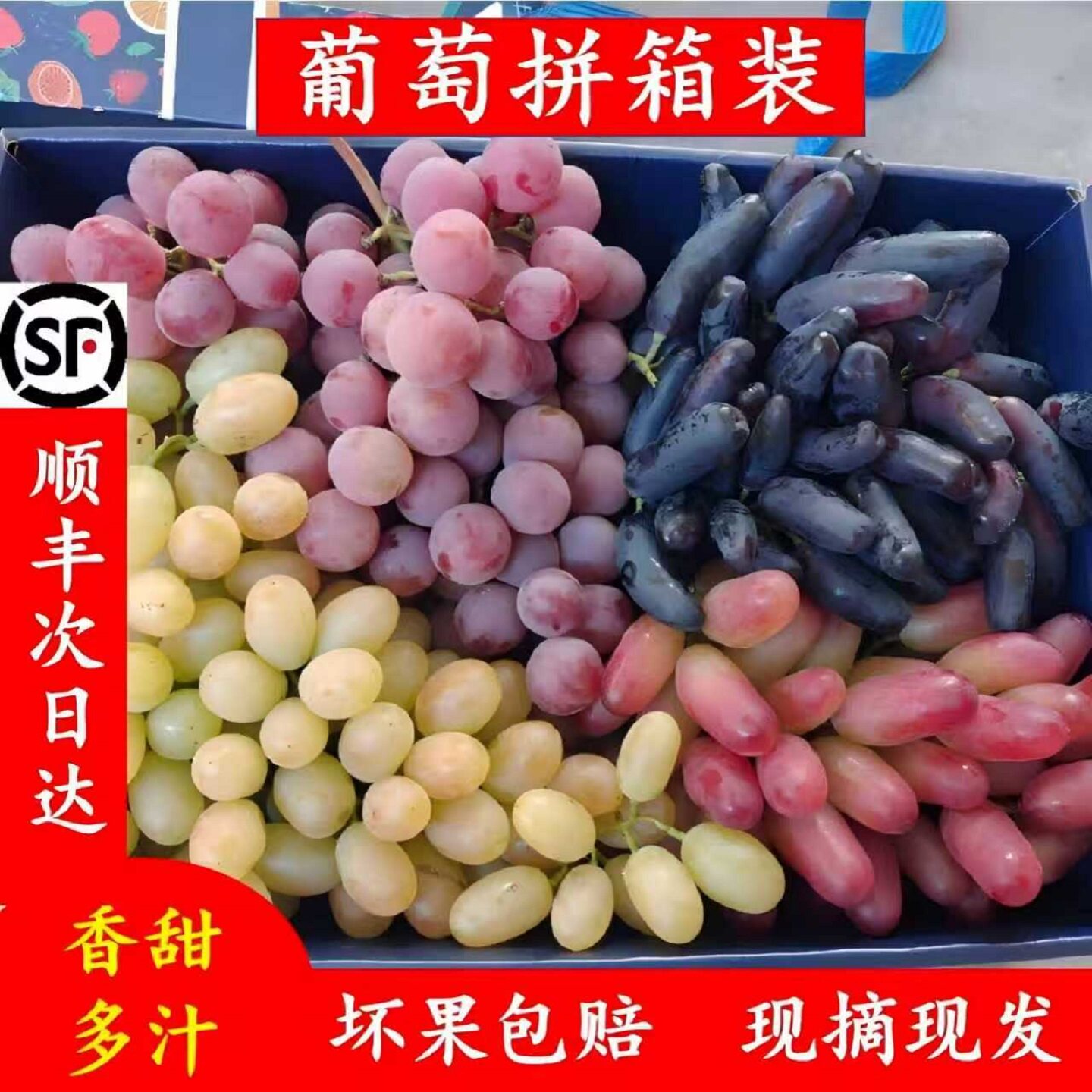 白马奶葡萄拼箱现摘现发顺丰礼盒