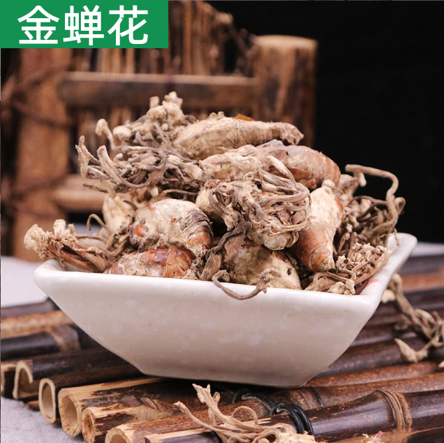 中药材金蝉花正宗野生金蟾花