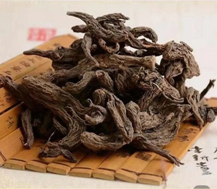 中药材正宗红大戟正品大戟