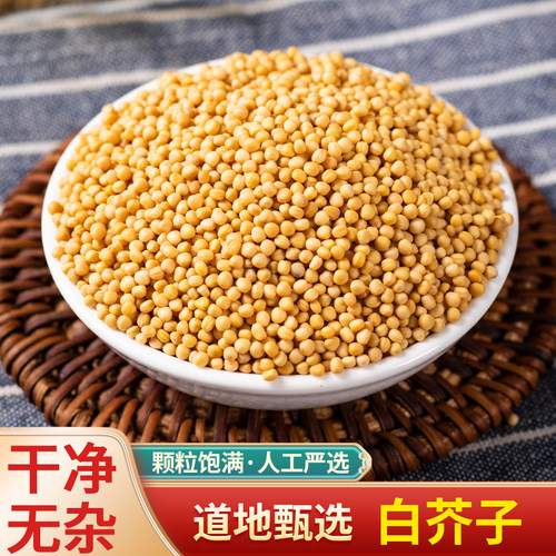 正品白芥籽新货中药材炒白芥子