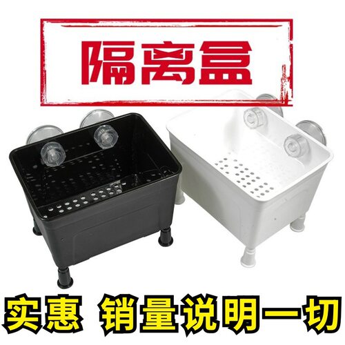 隔离盒乌龟苗活体黑白发色盒鱼缸孔雀鱼孵化盒饲养盒多功能孵化器