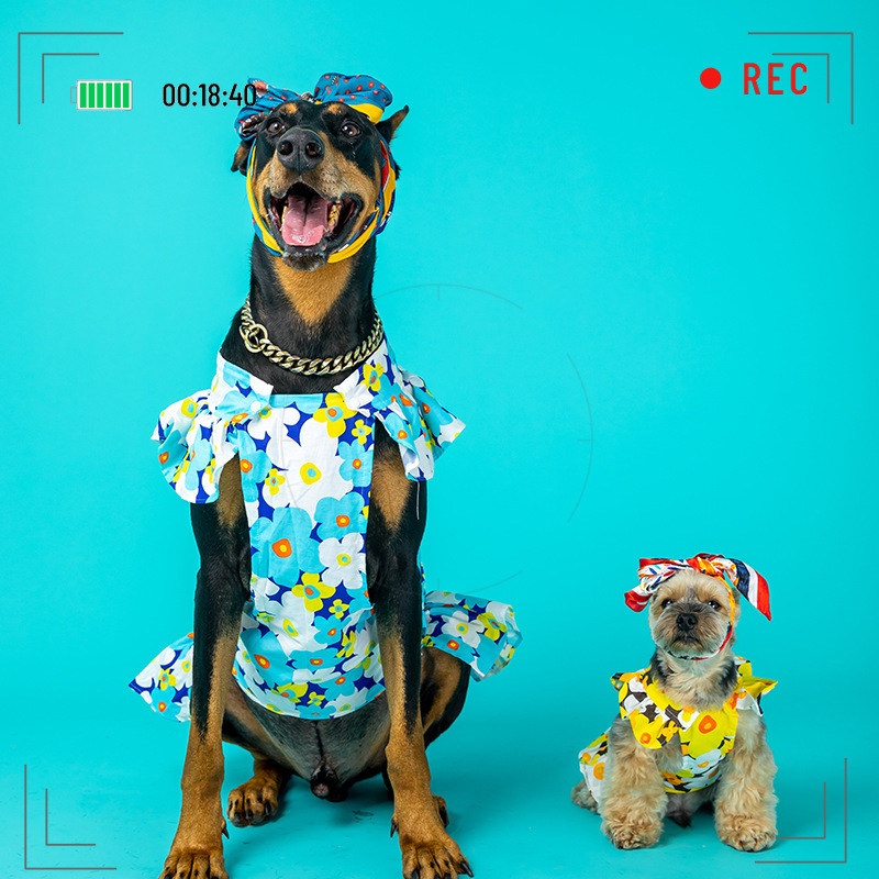 狗狗猫咪初秋碎花法斗柯基柴犬大花朵活力度假小型犬裙子宠物衣服