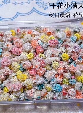 2024新款美甲饰品莫奈风美甲干花素材盒蕾丝碎花五瓣花多混色素材