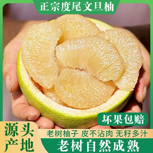 正宗！莆田仙游度尾文旦柚