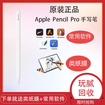 苹果ipad最新款pencilpro笔