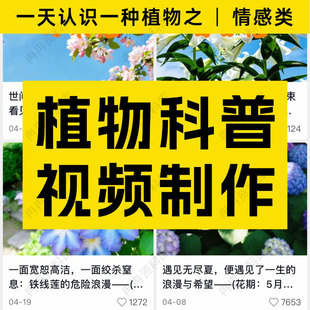 一天认识一种植物之科普AI创意短视频制作课程情感类资料