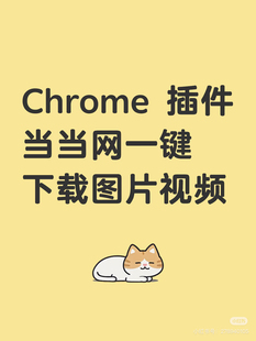 【插件】当当网一键下载图片视频 chrome 插件离线安装包