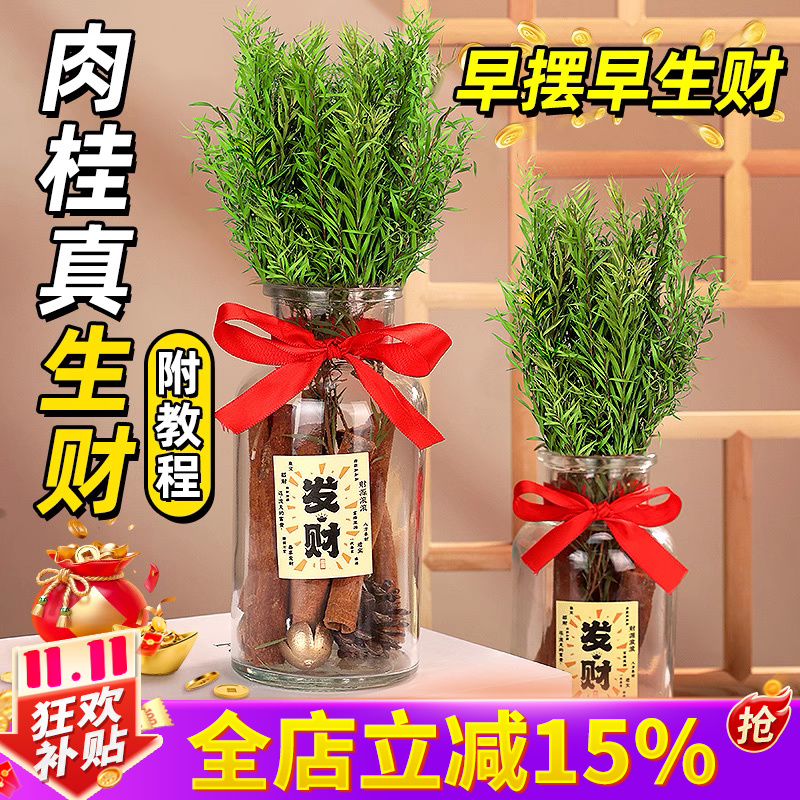 肉桂生财招财聚财摆件ins风礼物