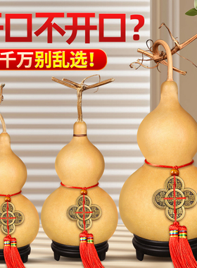 天然葫芦挂件开口带龙头玄关客厅摆件真胡芦五帝钱中国结门对门用