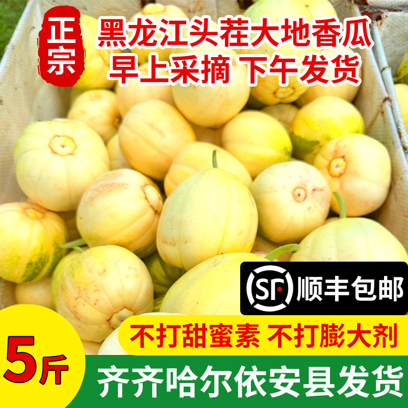 大地香瓜齐齐哈尔黑土地脆甜多汁