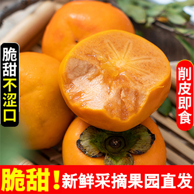 【福利要多拍】新鲜脆甜柿子陕西硬巧克力柿子不涩口当季水果现摘