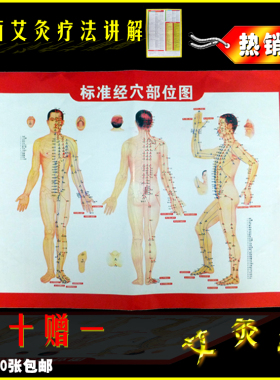 标准人体经络图挂图|艾灸穴位图|附常用病例施灸参考双面包邮