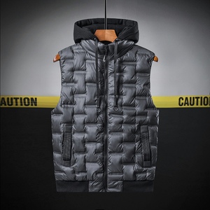 秋冬新品男士休闲潮流大码百搭连帽马甲外套XZ313B-1-M915-P60图片