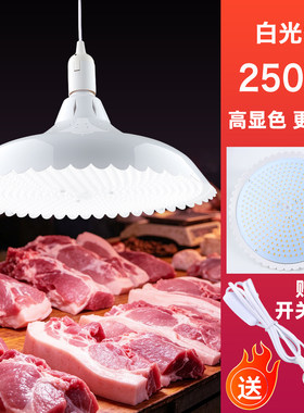 猪肉卤菜熟食海鲜水果市场照明灯
