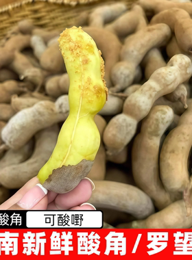 越南生酸角me chua新鲜罗望子孕妇果生酸梅青酸豆生酸角亚