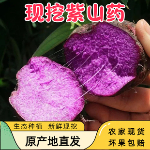 江西赣南安远紫山药新鲜脚板薯紫大薯5斤紫淮山毛薯农产品蔬菜