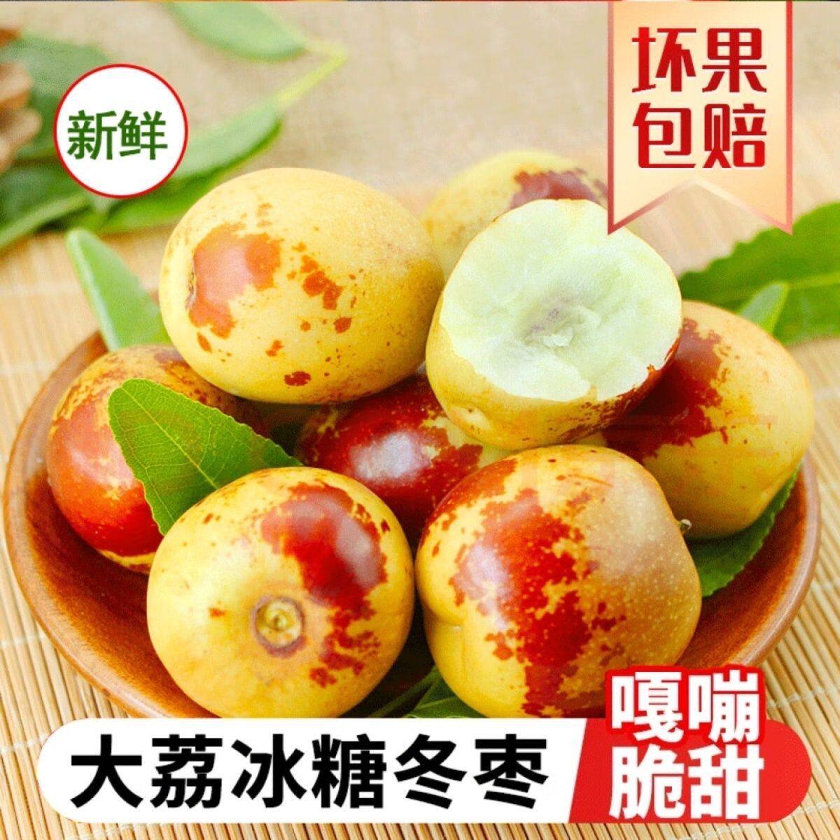 陕西大荔冬枣5斤礼盒新鲜水果当季现摘特大脆甜红鲜枣子现货红枣
