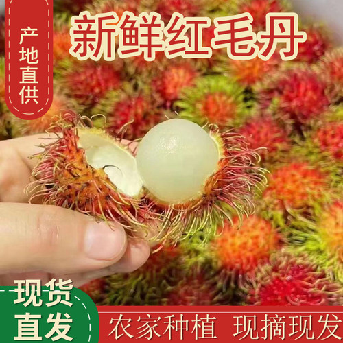红毛丹新鲜水果海南红毛丹9斤新鲜毛荔枝正宗毛丹果