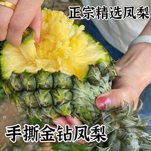 正宗海南金钻凤梨10斤新鲜水果应当季孕妇大果手撕香水菠萝整箱5