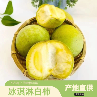 【顺丰】云南普洱奶香冰淇淋白柿子新鲜当季现摘现发软糯香甜大果