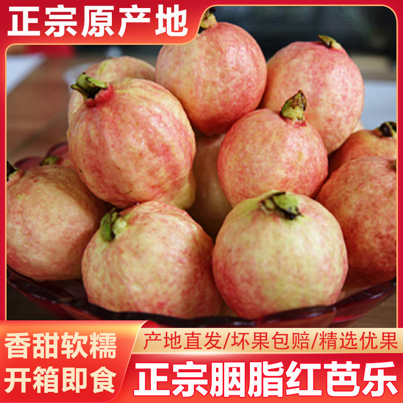 胭脂红番石榴香甜软糯芭乐