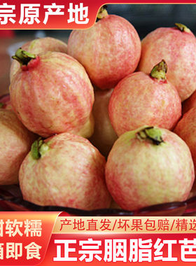 胭脂红番石榴香甜软糯芭乐