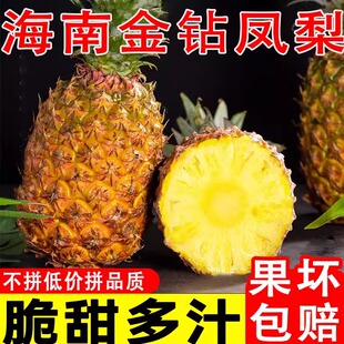 海南正宗金钻凤梨新鲜水果当季应季正宗一级菠萝大果礼盒装包邮
