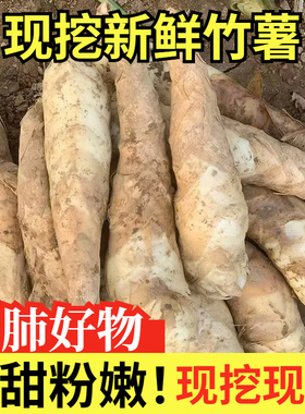 农家新鲜竹薯现挖无渣竹芋5斤当季冬粉薯凉粉薯根茎薯煲汤炒菜